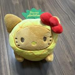HAWAII限定キティ　未開封　激レア ハワイ限定の日焼けキティちゃん】購入できるお店やグッズを紹介