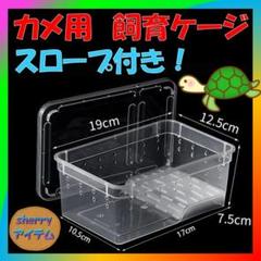 亀 飼育ケージ ケース カメ 水槽 小さい 小さめ 水 スロープ 子