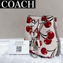 【希少】COACH ミニ バケット バッグ・チェリー プリント