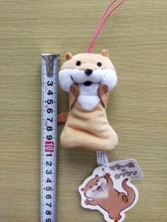 2025年最新】可愛い嘘のカワウソキーホルダーの人気アイテム