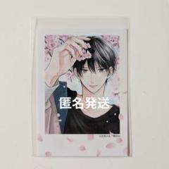 たまらないのは恋なのか(4) アニメイト限定描き下ろし8P小冊子