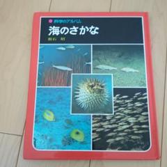「科学のアルバム 虫編 」 全19巻 あかね書房 図鑑 新装版】科学のアルバム(虫編) - あかね書房