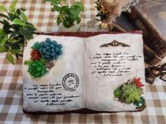 モルタルブック型プランター  多肉植物付きのサムネイル