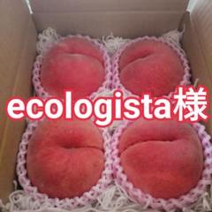 ecologista様専用　天然の桃ジュース　日川白鳳　1.5kg箱のサムネイル