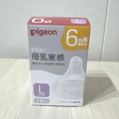 新品　ピジョン　Pigeon 乳首　2個セット　哺乳瓶　L l