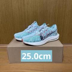 【美品】ナイキ ペガサスターボネクストネイチャー 25.0cmのサムネイル