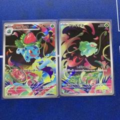 ローダー付フシギダネ AR フシギソウ AR フシギバナex SAR 3枚セット ローダー付フシギダネ AR フシギソウ AR フシギバナex SAR 3枚