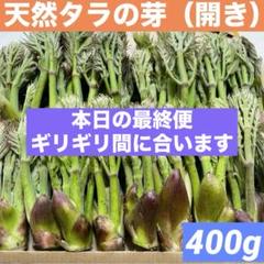 北海道　道北産　天然タラの芽（専用ページ）① 448745537022e2468a8adf1b8a22cb
