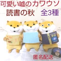 ぬいぐるみ 可愛い嘘のカワウソ 読書 メニュー 本 宇宙 全3種のサムネイル