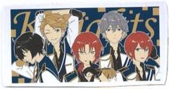 新品★あんスタ★Knights【瀬名泉】ビジュアルバスタオル★vol.1 あんさんぶるスターズ！ あんスタ Knights 瀬名泉 ビジュアル
