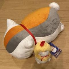 2025年最新】ニャンコ先生 エビフライポンチョの人気アイテム