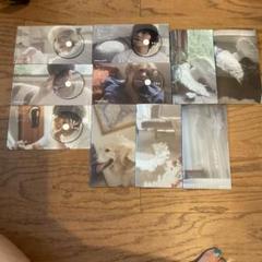 TXT Sanctuary CD Photo book￼