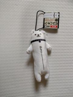 新品タグ付き　のびねこ　ハチ公