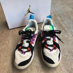 NIKE ジョーダンデルタ 24.5cm 完売アイテム ハイテクスニーカー
