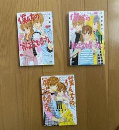 僕んちの家政婦さん Ⅰ〜Ⅲ 三冊セット