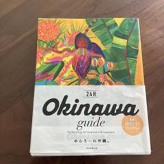 Okinawa guide 24H