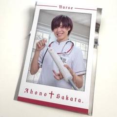 あほの坂田 ランダムミニフォトカード チェキ nurse ミニフォト