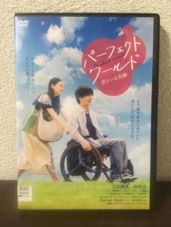 パーフェクトワールド 君といる奇跡 DVD レンタル 岩田剛典 杉咲花