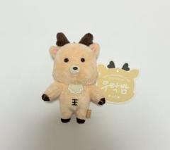 RIIZE 20cmドール 人形 ソンチャン ウラクバム WE LITTLE RIIZE ソンチャン 20cm ドール - メルカリ