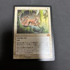 日)オセロットの群れ / Ocelot Pride ☆ボーダーレス☆(フレームブレイク版) 【MH3】 【Foil】  No.322｜MtG通販サイト【Cardshop Serra】