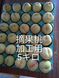 摘果桃 加工用5キロ - メルカリ