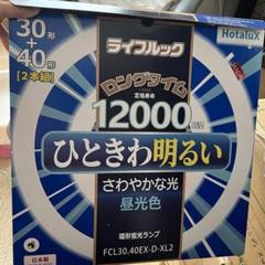 FCL30.40EX-D-XL2 電気