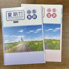 小学５年＊夏期錬成ゼミ小5標準編＊国語＆算数セット＊夏期講習