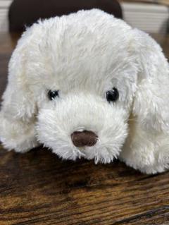 2025年最新】トイザらス 犬 ぬいぐるみの人気アイテム - メルカリ
