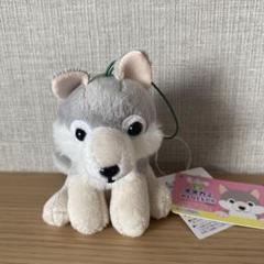 ころとん様⭐︎ もふっとオオカミ　タイクレ限定　オオカミ　ぬいぐるみ　2点 タイクレ限定】もふっとオオカミワイルド ぬいぐるみ 黒狼 ダー