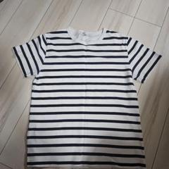 ロンハーマン　Ron Herman ボーダー Tシャツ 半袖