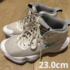 ✧新品未使用✧asics NOVA SURGE GSバスケ ジュニア用23.5 NOVA SURGE GS | WHITE/CARRIER GREY | キッズ バスケットボール