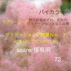 m72655592527_1.jpg?1652181099