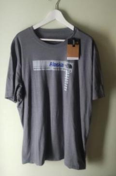 新品タグ付　THE NORTH FACE Alaska Tシャツ XXL グレー
