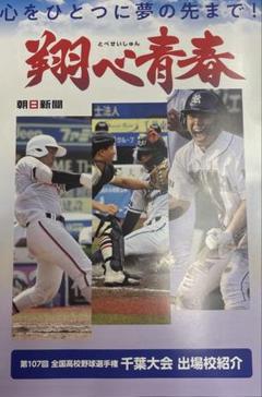 翔べ青春 2025 第107回全国高校野球選手権 千葉大会 出場校紹介