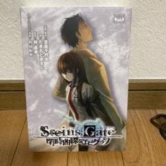 【新品未開封】STEINS;GATE 閉時曲線のエピグラフ A3 クリアポスター Steins;Gate - Epigraph of the Closed Curve - MangaDex