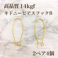 14kgf】 キドニー フック ピアス A 2ペア 4個 金属アレルギー