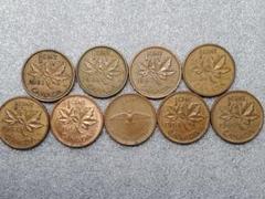 【世界限定100枚】メイプル銀貨 ミツバチ 蜜蜂 曼荼羅 2024 1オンス 2025年最新】メイプル銀貨の人気アイテム - メルカリ