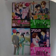 オパール文庫、エタニティ文庫18冊セットTL