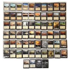 MTG 英語 基本地形 基本土地 全コンプリート 3ED〜VOW コレクション向 MTG 英語 基本地形 基本土地 全コンプリート 3ED〜VOW