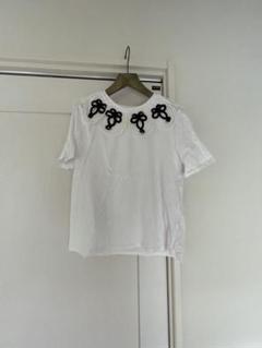 ZARA刺繍付きホワイト半袖Tシャツのサムネイル