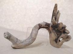 アクアリウム・パルダリウム・ハンドメイド・エアープランツ向け風化流木 約30cm