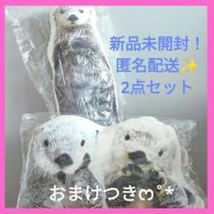 【新品】完売品 鳥羽水族館 メイ キラ 全身 実写 クッション 抱き枕 セット メイ☆キラクッション【オリジナル】 – 鳥羽水族館オンライン