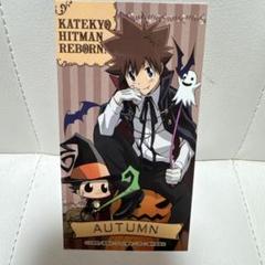 家庭教師ヒットマンREBORN！AUTUMN ステッカー　ツナ