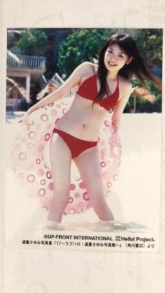 道重さゆみ　生写真　51枚　ハロプロ　モーニング娘。　L版 84.モーニング娘 道重さゆみ 2L 生写真 すけない ハロプロ