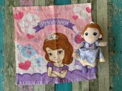 Disney ちいさなプリンセス ソフィア タオル&ぬいぐるみ /ディズニーのサムネイル
