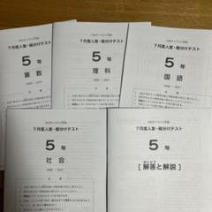 SAPIX5年テスト 2025終了組原本７回分算数と解答解説サピックス SAPIX5年7月入室組分けテストサッピクス2025受験組片面 - メルカリ
