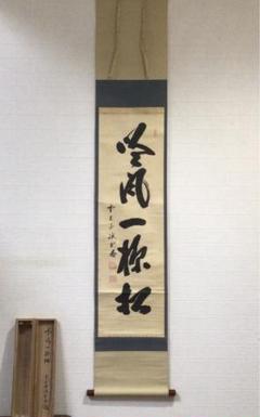 E370 掛軸 大徳寺 藤井誡堂 『吟風一様松』 共箱 『真作』 肉筆 一行書 m72715988003_1.jpg?1664265140