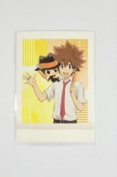 リボーン ナンジャタウン ツナ まとめ売り 沢田綱吉 リボーン 缶バ ステッカー イラストシート まるくじ