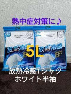 【熱中症対策に♪】ワークマン 放熱冷感Tシャツ半袖 ホワイト 5L 2枚組