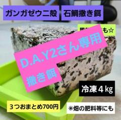 2025年最新】ウニ 釣り餌の人気アイテム - メルカリ